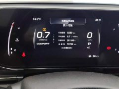 Trumpchi Yingbao 270T DCT J15 - photo 14