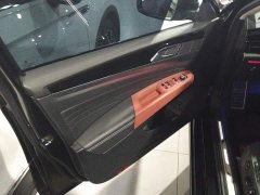 Volkswagen Passat 330TSI Starry Sky Luxury Edition - ფოტო 7