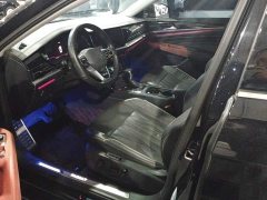 Volkswagen Passat 330TSI Starry Sky Luxury Edition - ფოტო 9