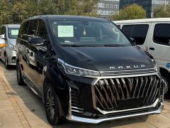 Maxus G20 PLUS 2.0T Petrol Automatic Luxury Travel Edition - photo 3