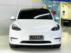 Tesla Model Y Long Range All-Wheel Drive - фото 1