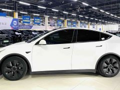Tesla Model Y Long Range All-Wheel Drive - фото 10