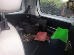 Changan Lumin 205km Xiangqin Edition - photo 13