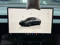 Tesla Model 3 Long Range Rear-Wheel Drive - ფოტო 16