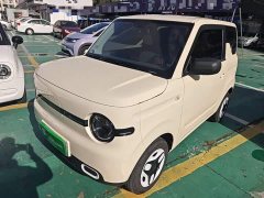 Geely Panda Mini 210km Vitality Edition - ფოტო 1