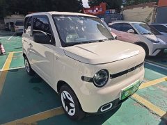 Geely Panda Mini 210km Vitality Edition - ფოტო 3
