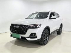 Haval H6 National Trend Edition 1.5T Automatic Urban Version - ფოტო 1