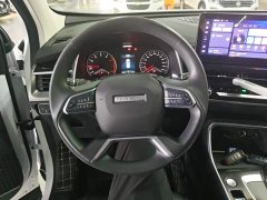 Haval H6 National Trend Edition 1.5T Automatic Urban Version - ფოტო 10