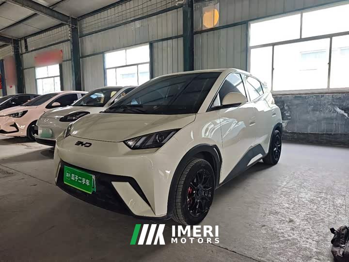 BYD Seagull Glory Edition 305km Vitality Version