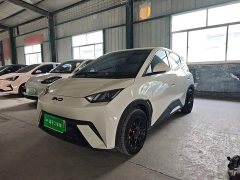 BYD Seagull Glory Edition 305km Vitality Version - ფოტო 1