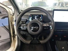 BYD Seagull Glory Edition 305km Vitality Version - ფოტო 10
