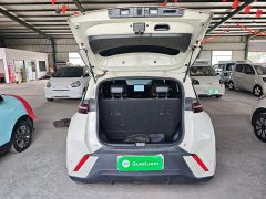 BYD Seagull Glory Edition 305km Vitality Version - ფოტო 18