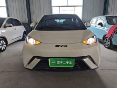 BYD Seagull Glory Edition 305km Vitality Version - ფოტო 2