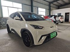 BYD Seagull Glory Edition 305km Vitality Version - ფოტო 3