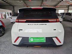 BYD Seagull Glory Edition 305km Vitality Version - ფოტო 5