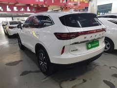 Haval H6 Third Generation 1.5T Automatic Two-Wheel Drive Max - ფოტო 4