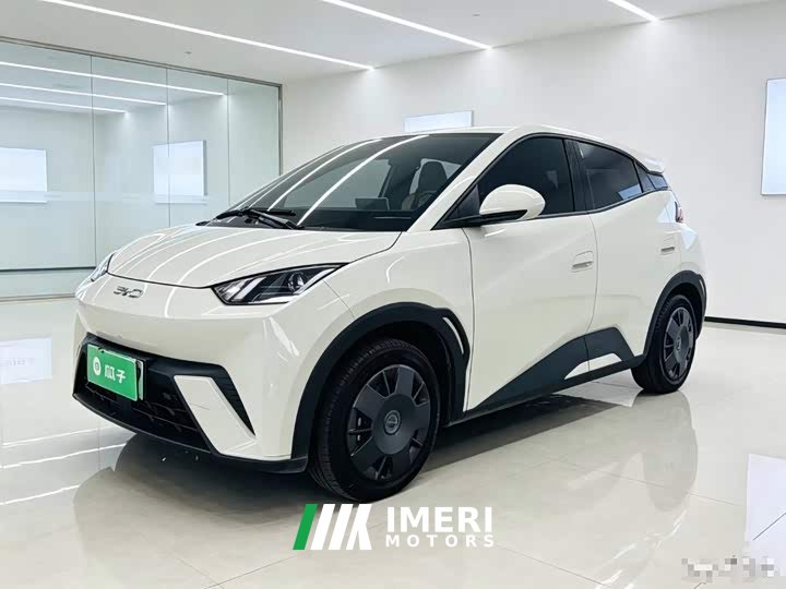 BYD Seagull 305km Vitality Edition