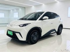 BYD Seagull 305km Vitality Edition - photo 1
