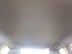 BYD Seagull 305km Vitality Edition - photo 17