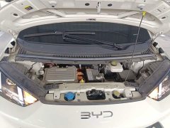 BYD Seagull 305km Vitality Edition - photo 19