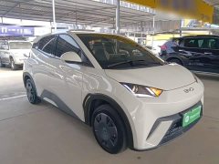 BYD Seagull 305km Vitality Edition - photo 3