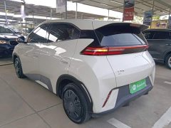 BYD Seagull 305km Vitality Edition - photo 4