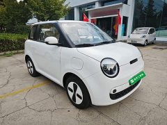 Changan Lumin Treasure Edition 205km Cool Love White CATL - photo 3