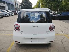 Changan Lumin Treasure Edition 205km Cool Love White CATL - photo 5