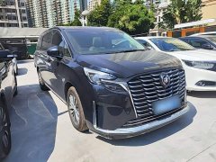 Buick GL8 ES Luxe Enjoyment Edition - photo 3