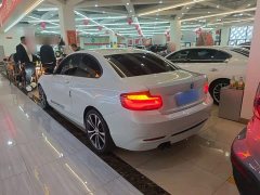 BMW 2 Series (Imported) 225i Sport Design Package - ფოტო 4