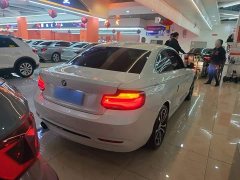BMW 2 Series (Imported) 225i Sport Design Package - ფოტო 6