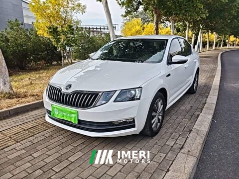 2021 Skoda Octavia 1.5L Automatic Smart Comfort Edition - car from China