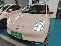 ORA Good Cat 400km Standard Range Athena Edition LFP Battery - ფოტო 1