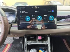 BYD Han DM AWD Performance Luxury Edition - photo 12