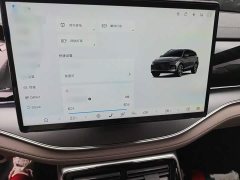 BYD Tang New Energy DM-i 115KM Premium Edition - ფოტო 5