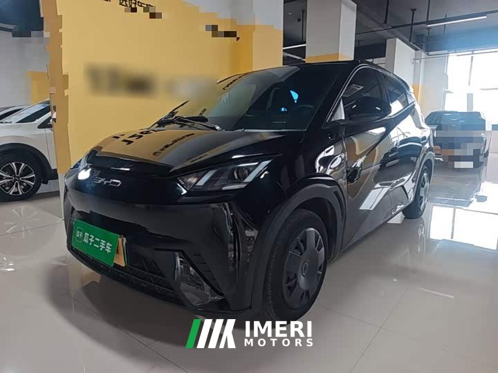 BYD Seagull Glory Edition 305km Vitality Version