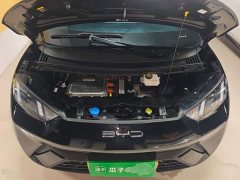 BYD Seagull Glory Edition 305km Vitality Version - ფოტო 19
