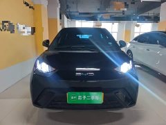 BYD Seagull Glory Edition 305km Vitality Version - ფოტო 2