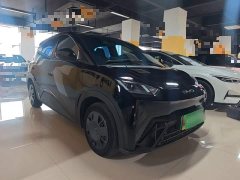 BYD Seagull Glory Edition 305km Vitality Version - ფოტო 3