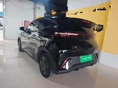 BYD Seagull Glory Edition 305km Vitality Version - ფოტო 4