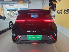 BYD Seagull Glory Edition 305km Vitality Version - ფოტო 5