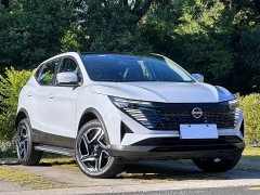 Nissan Qashqai Honor 2.0L CVT XV Premier Edition - photo 3