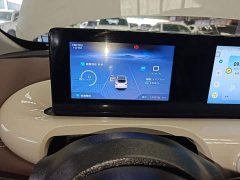 Wuling Binguo 333km Joy Edition - photo 11