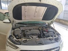 Buick Regal 552T Elite - ფოტო 19