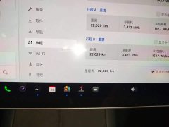 Tesla Model 3 Rear-Wheel Drive - ფოტო 11