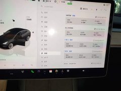 Tesla Model 3 Rear-Wheel Drive - ფოტო 12