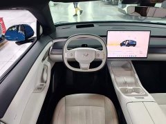 Nio Lerado L60 60kWh AWD - ფოტო 12