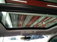 Volkswagen Magotan 330TSI DSG Luxury - ფოტო 17