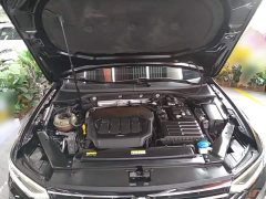 Volkswagen Magotan 330TSI DSG Luxury - ფოტო 19