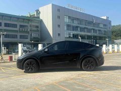 Tesla Model Y Rear-Wheel Drive - ფოტო 2